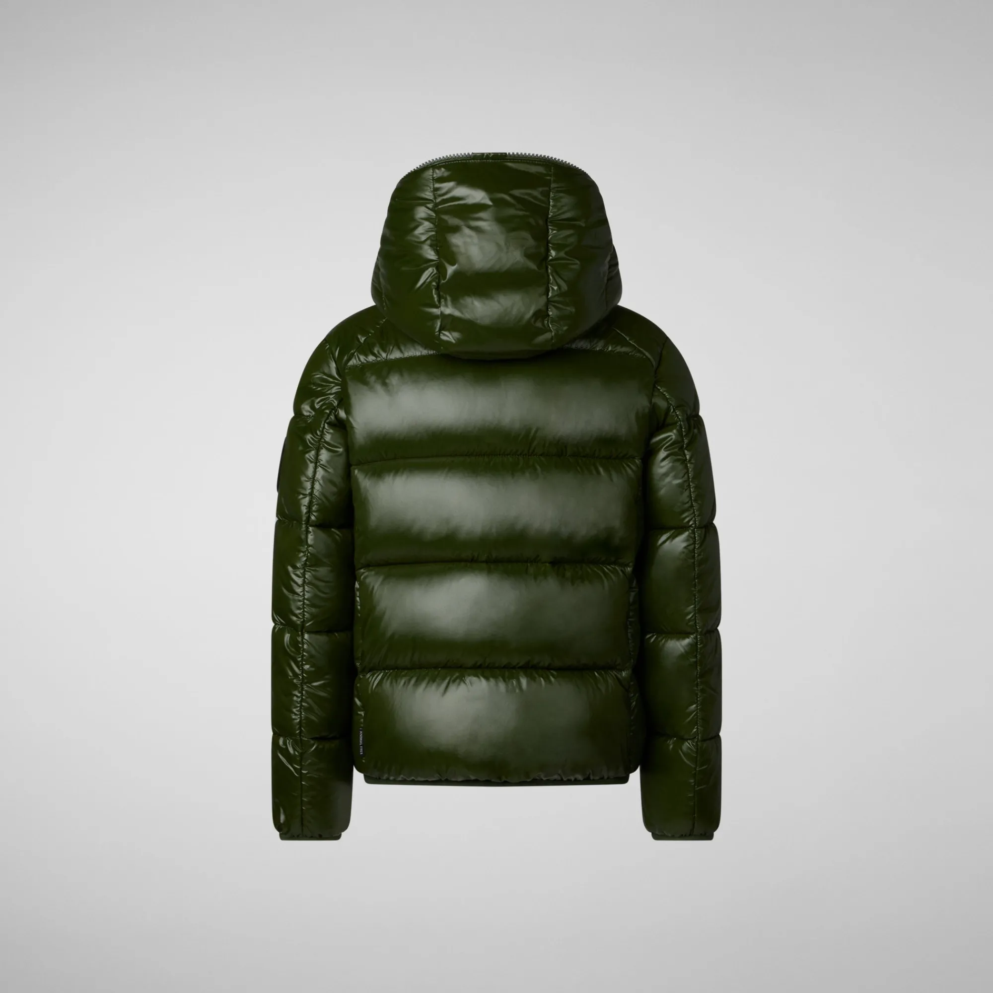 Clearance Save The Duck Boys' Hooded Animal free Puffer Jacket Artie in Pine Green