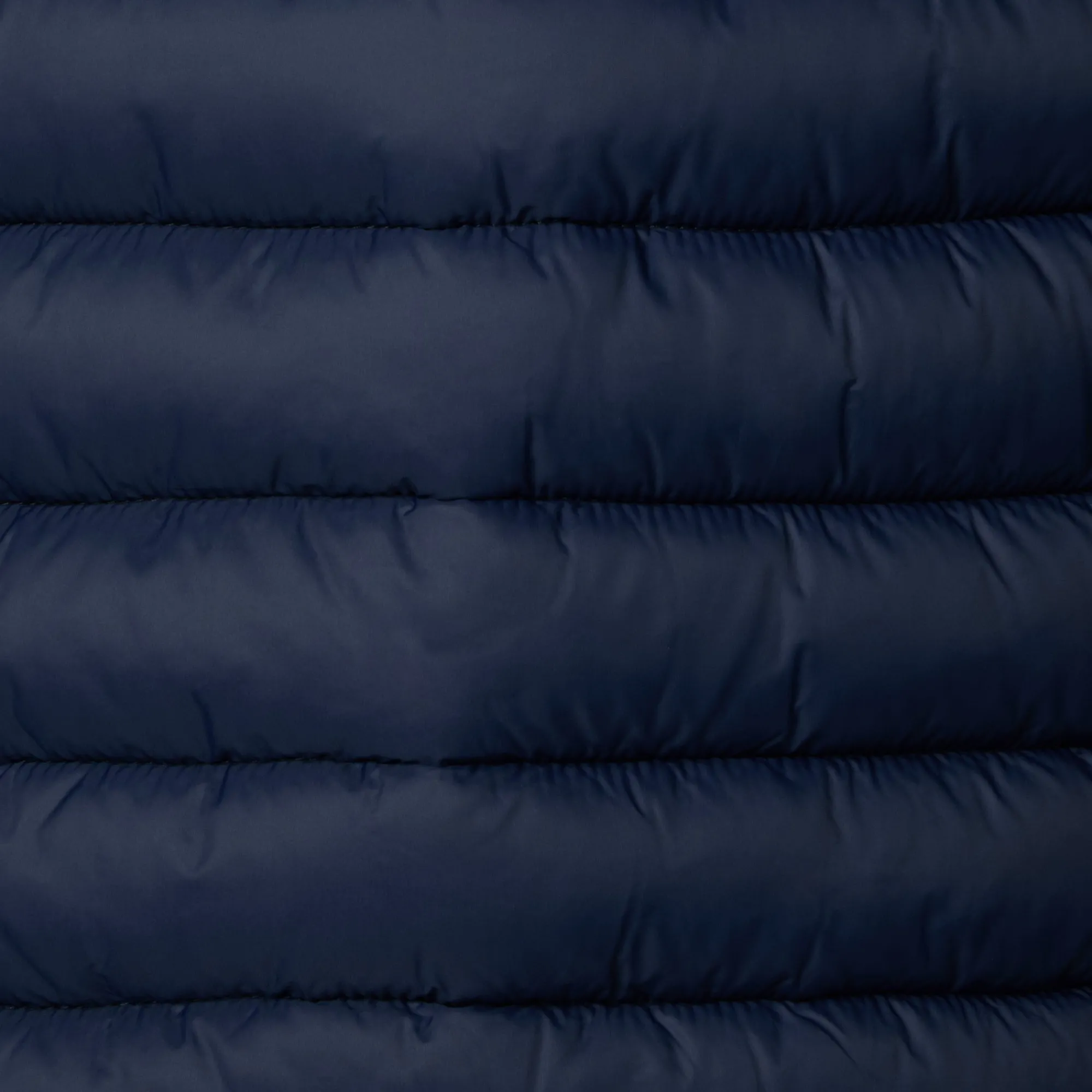 Shop Save The Duck Boys' Hooded Animal free Puffer Jacket Dony in Navy blue